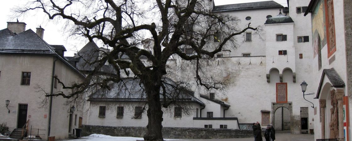 aged fortress square with leafless tree