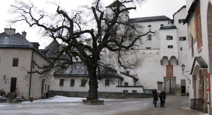 aged fortress square with leafless tree