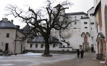 aged fortress square with leafless tree