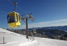 Swiss ski gondola might end up in a Frankfurt brothel