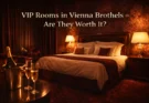 VIP Rooms in Vienna Brothels – Are They Worth It?